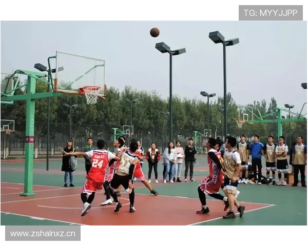 篮球比赛中如何理解并正确应用前场规则？